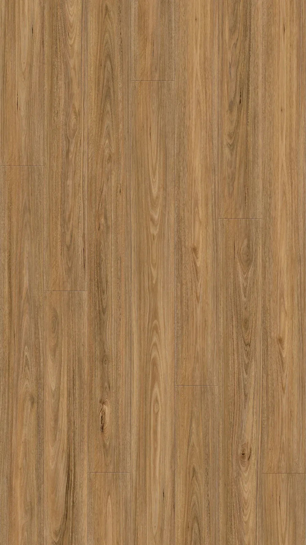 Spotted Gum Straight