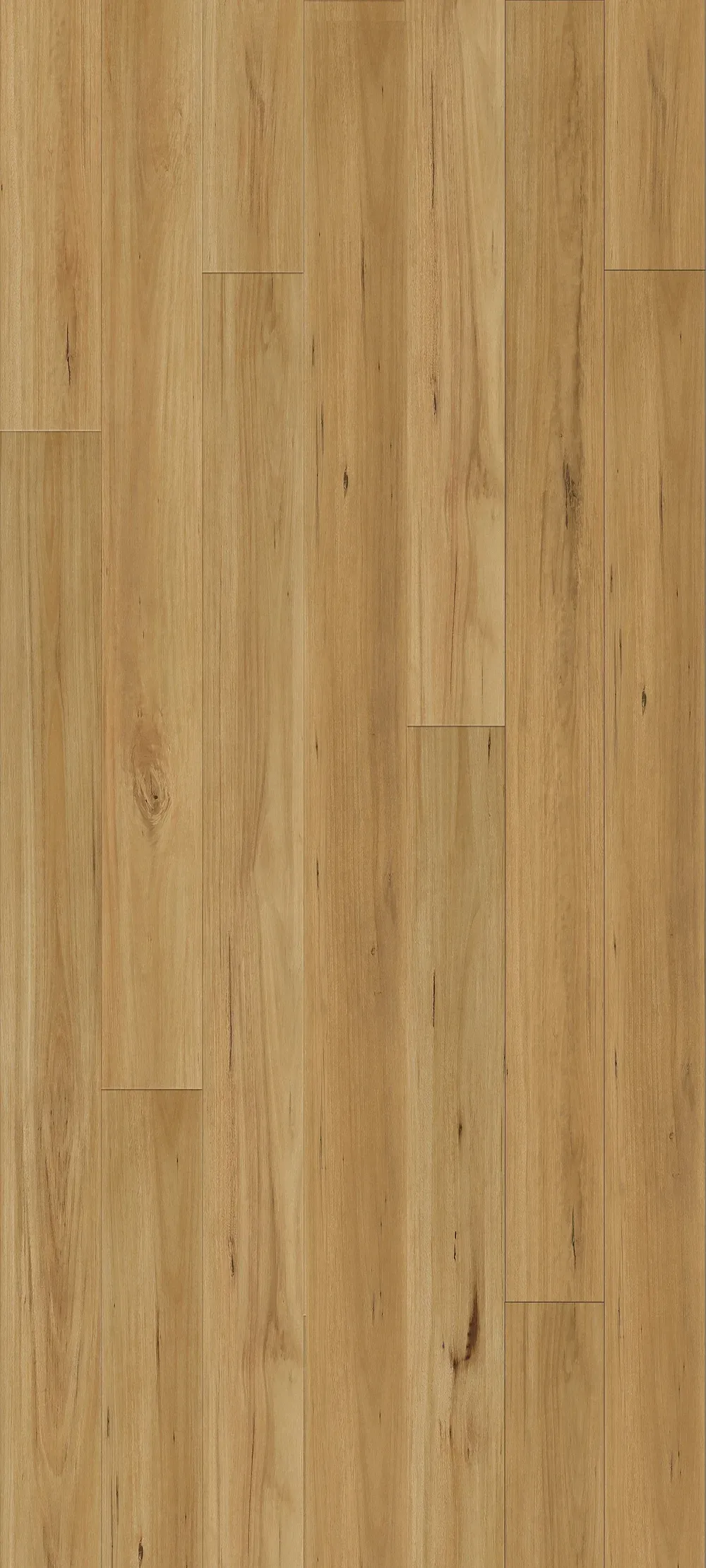 Blackbutt Straight