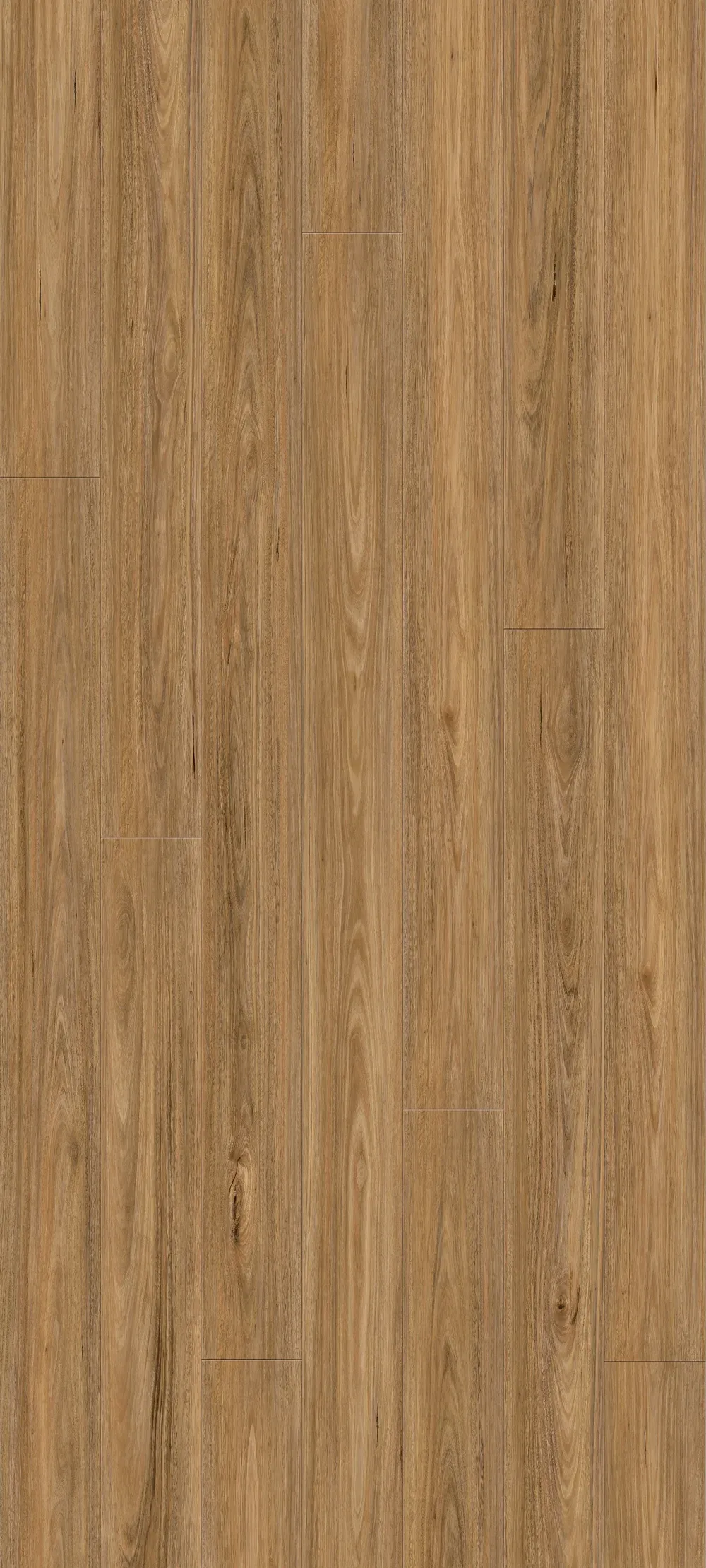 Spotted Gum Straight