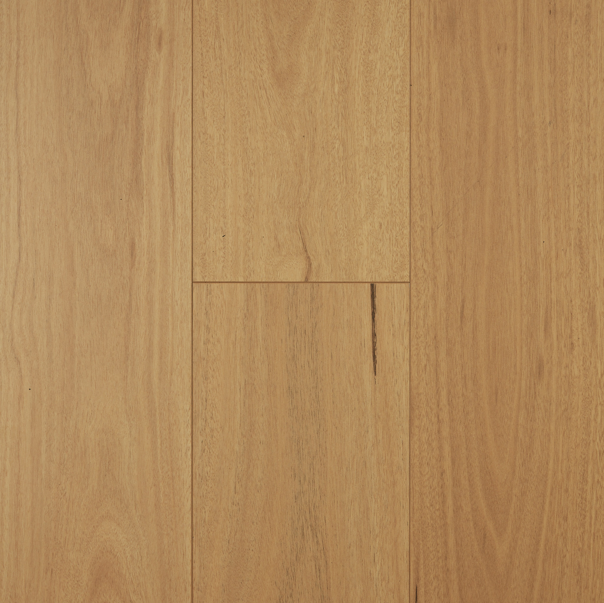 Blackbutt Straight