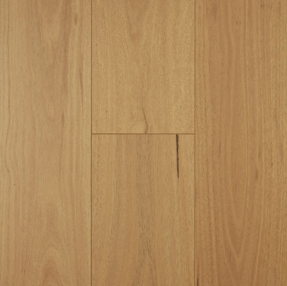 Blackbutt