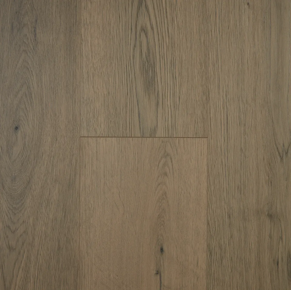 Heron Grey