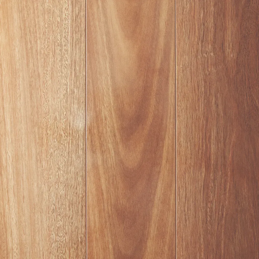 Mtn Spotted Gum
