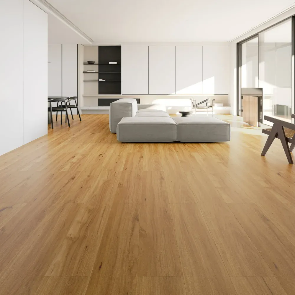 Blackbutt
