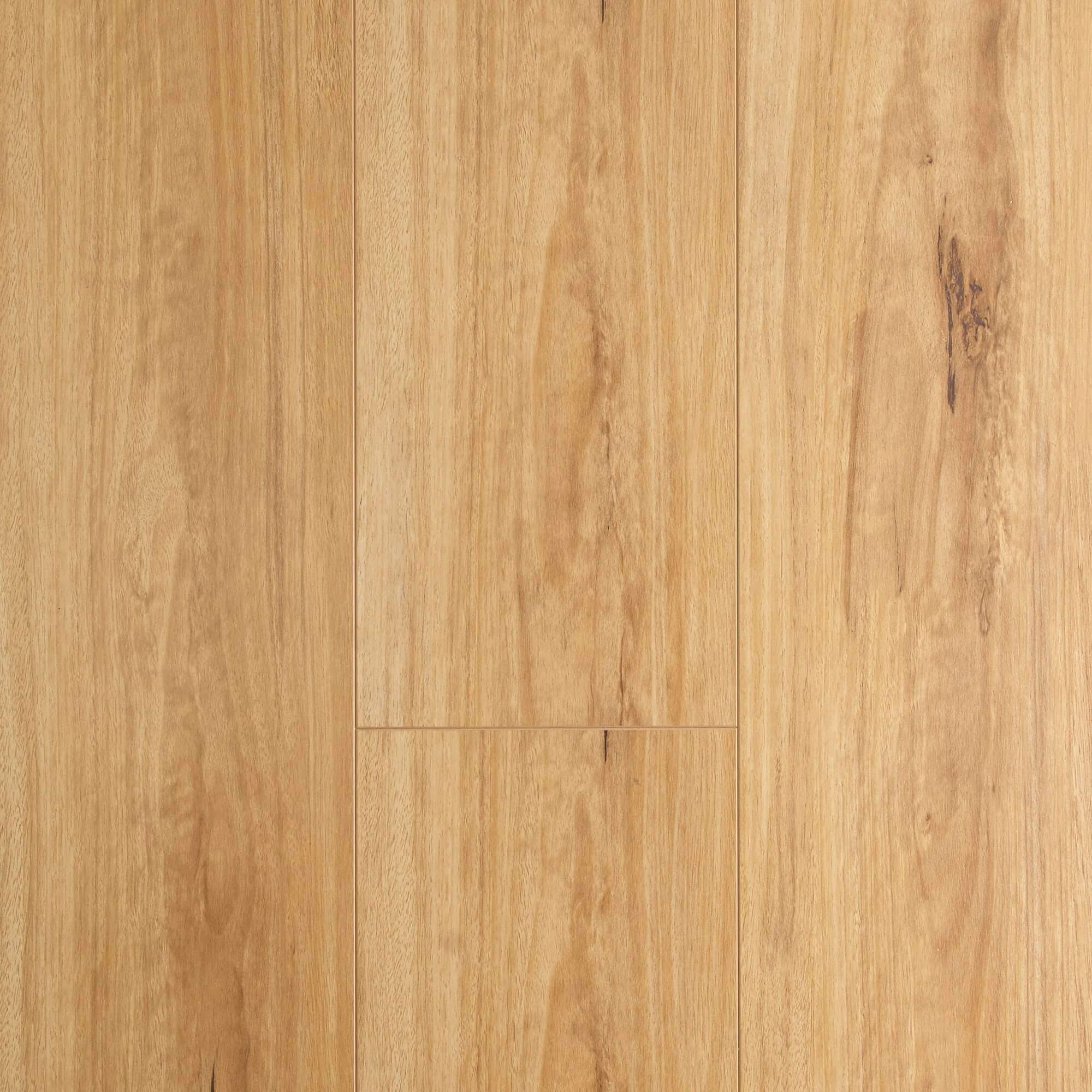 Blackbutt Straight