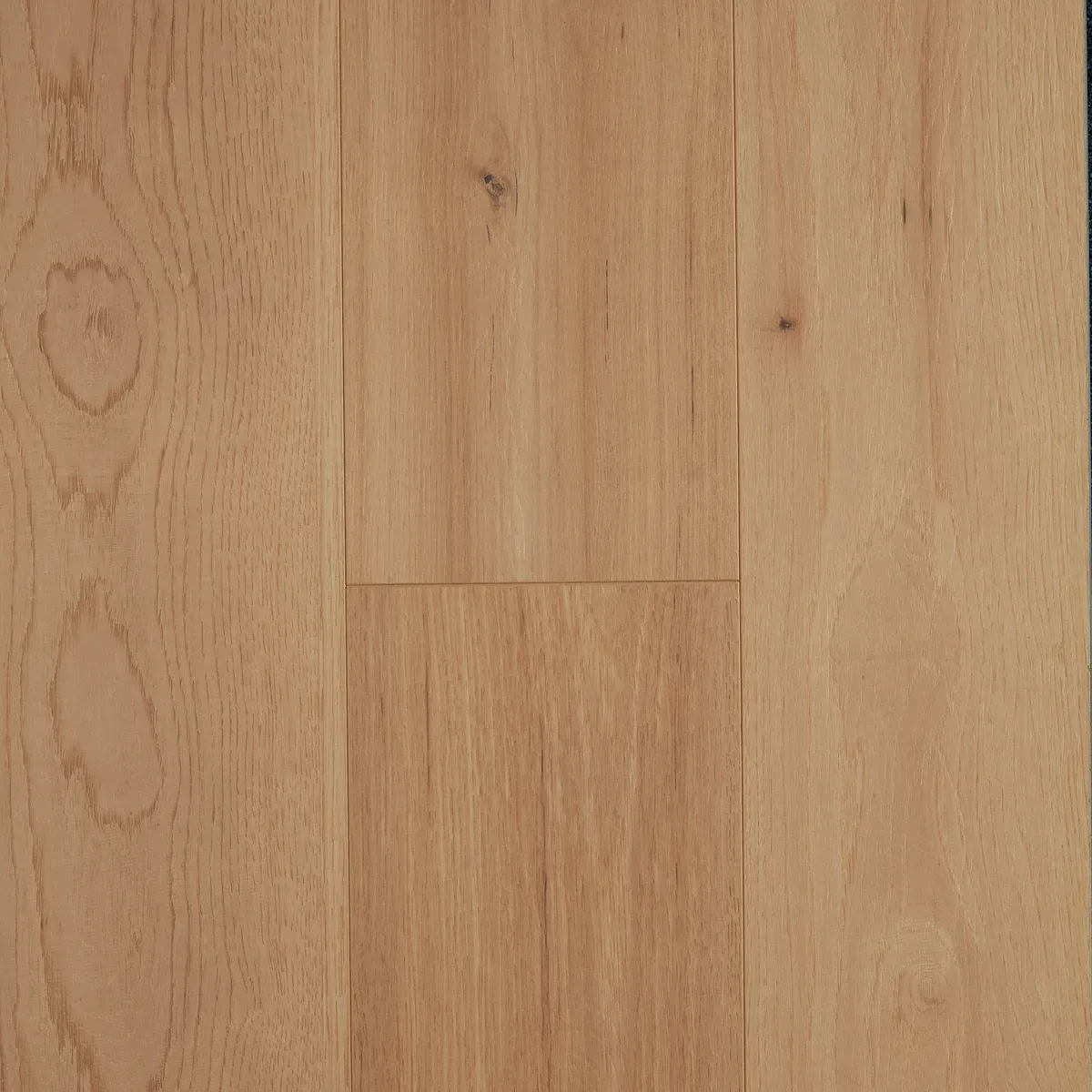 Hickory