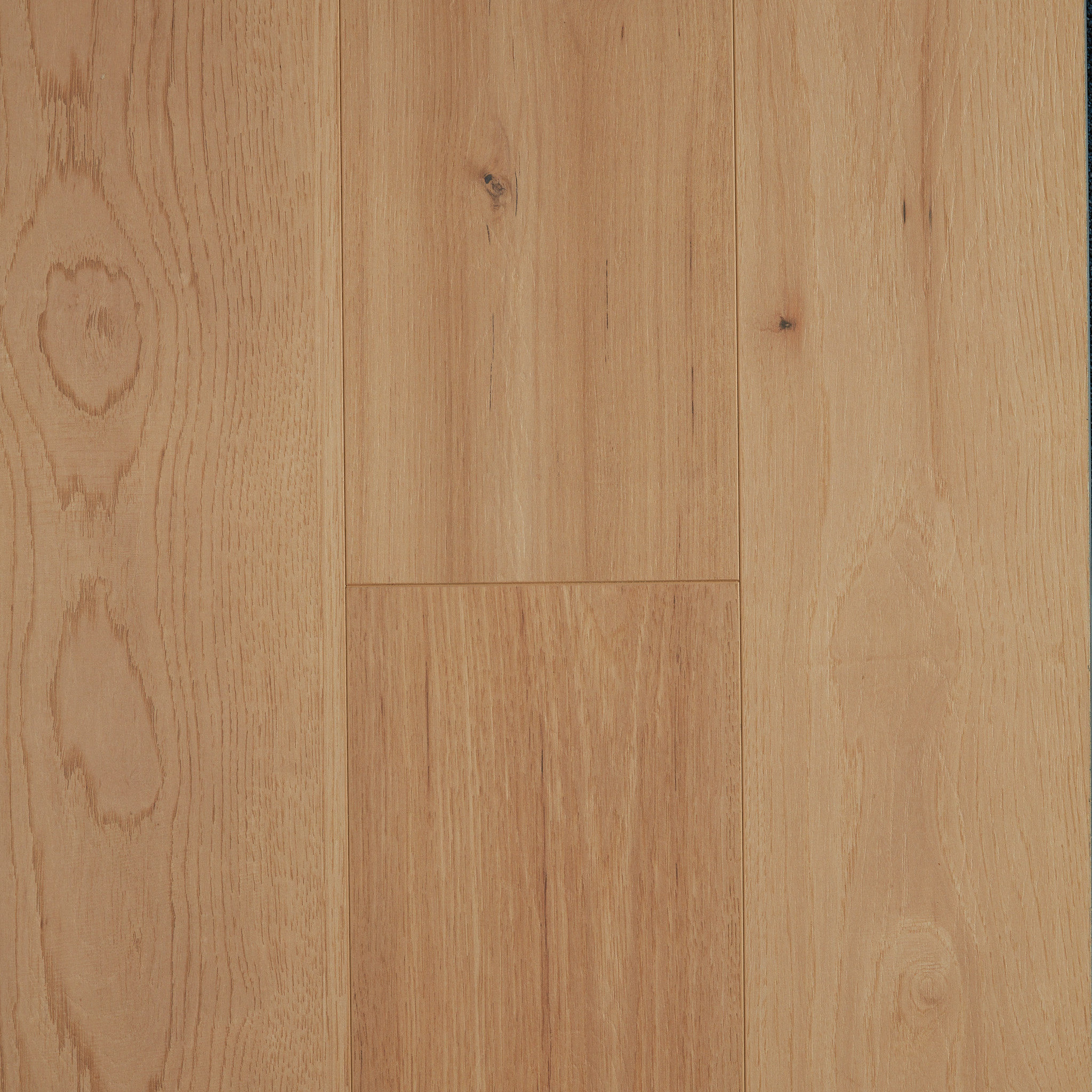Hickory