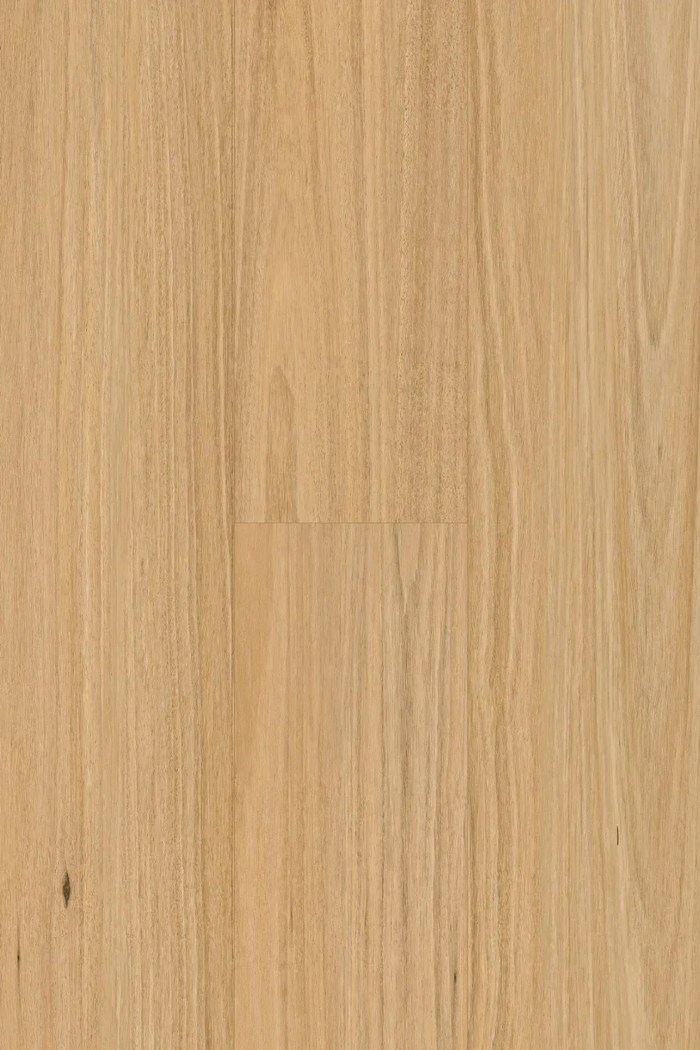 Blackbutt Straight