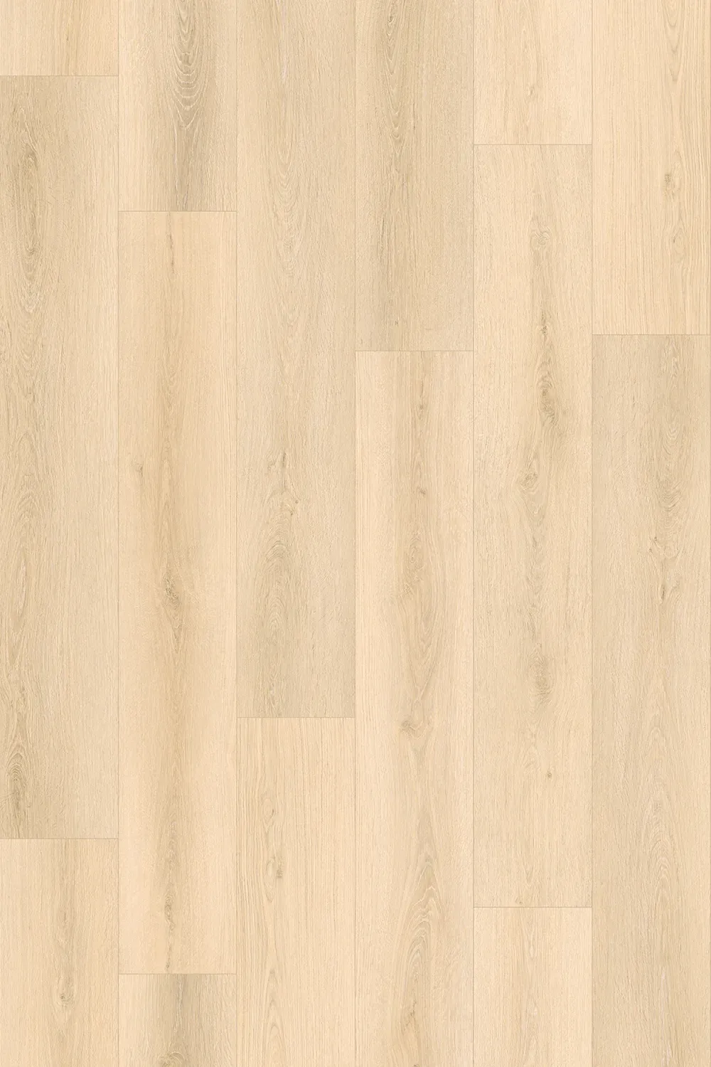 Catalina Oak Straight