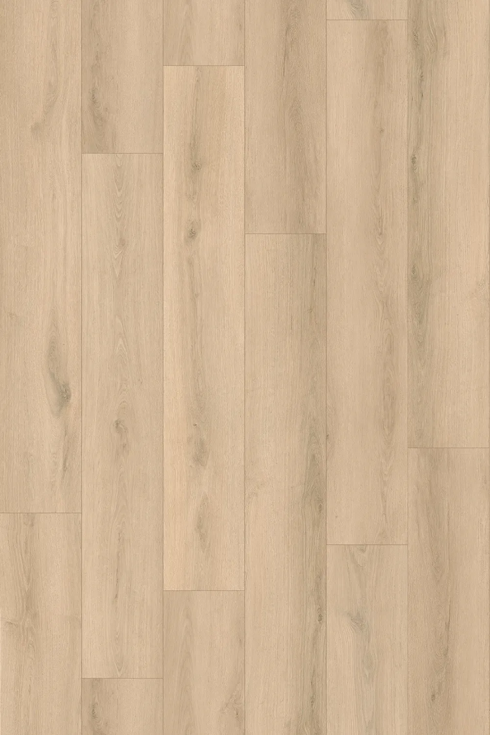 Ivory Sand Oak Straight