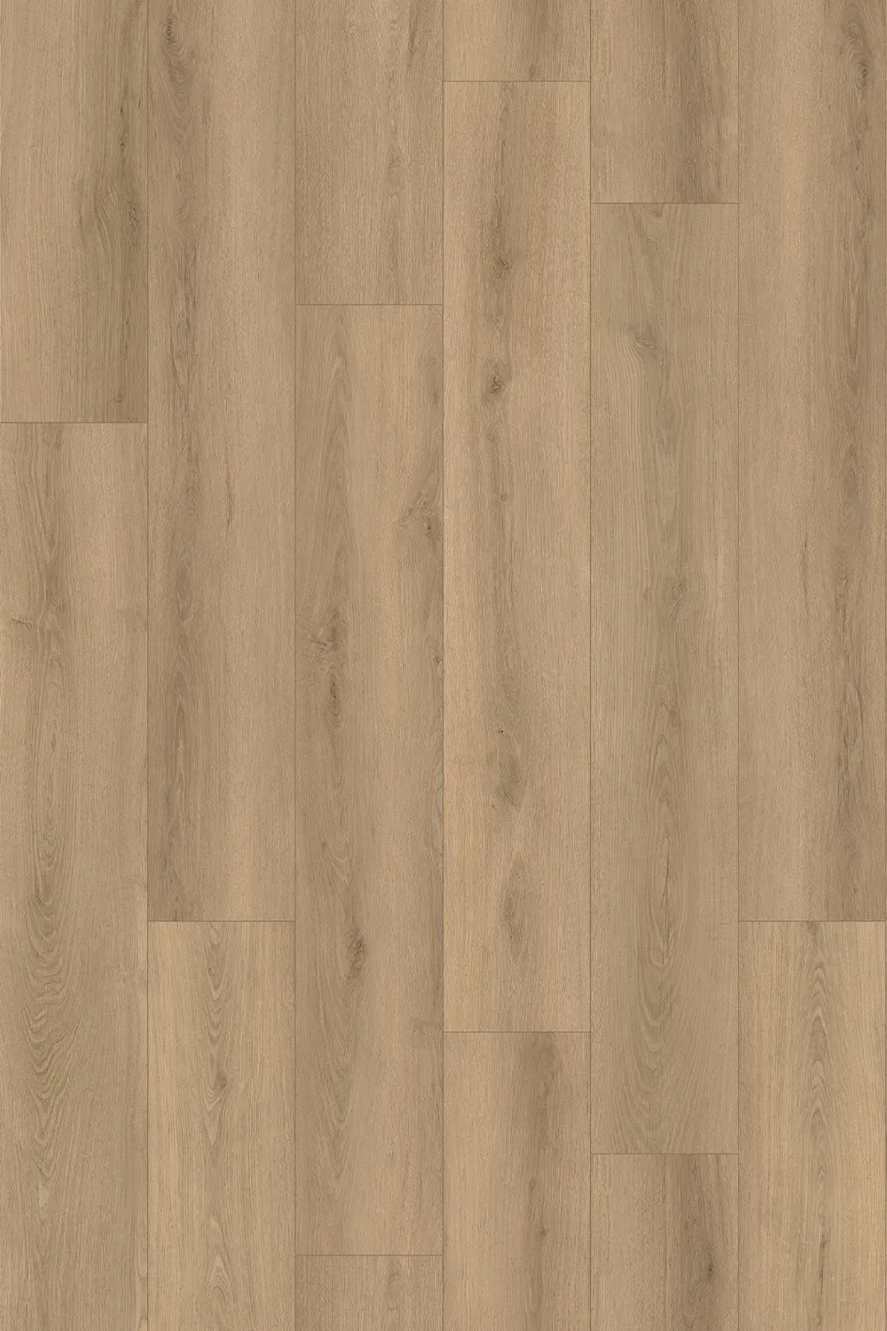 Moonstone Oak Straight
