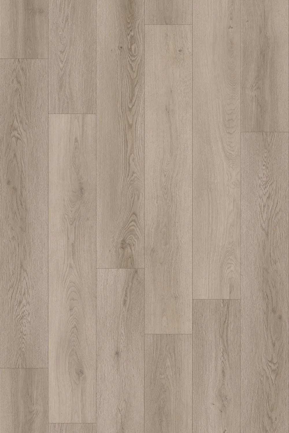 Silverstone Oak Straight