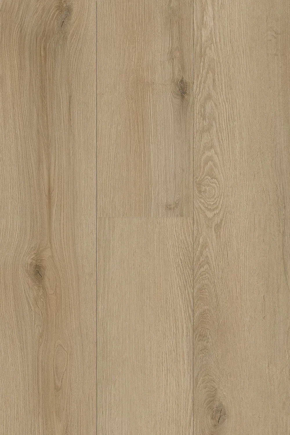 Almond Oak
