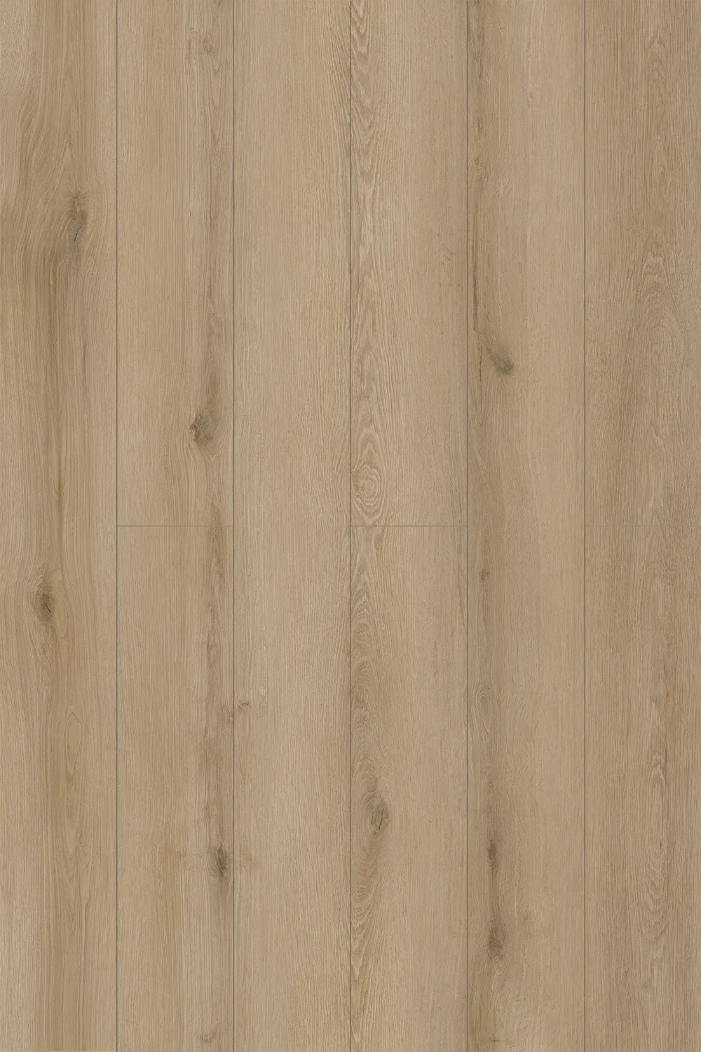 Almond Oak