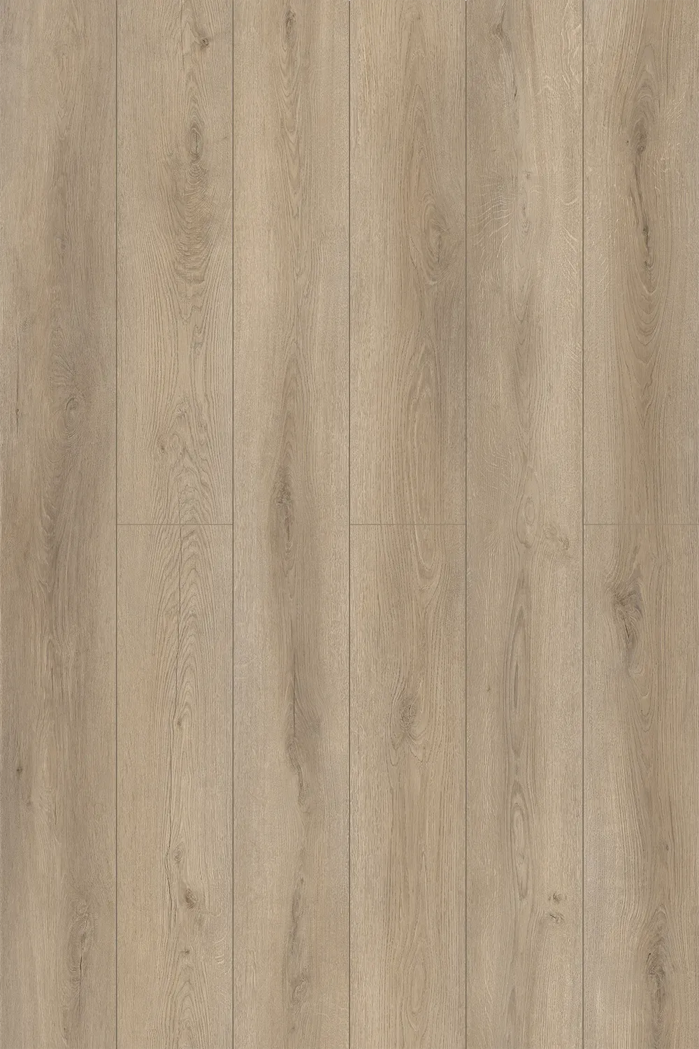 Glacial Grey