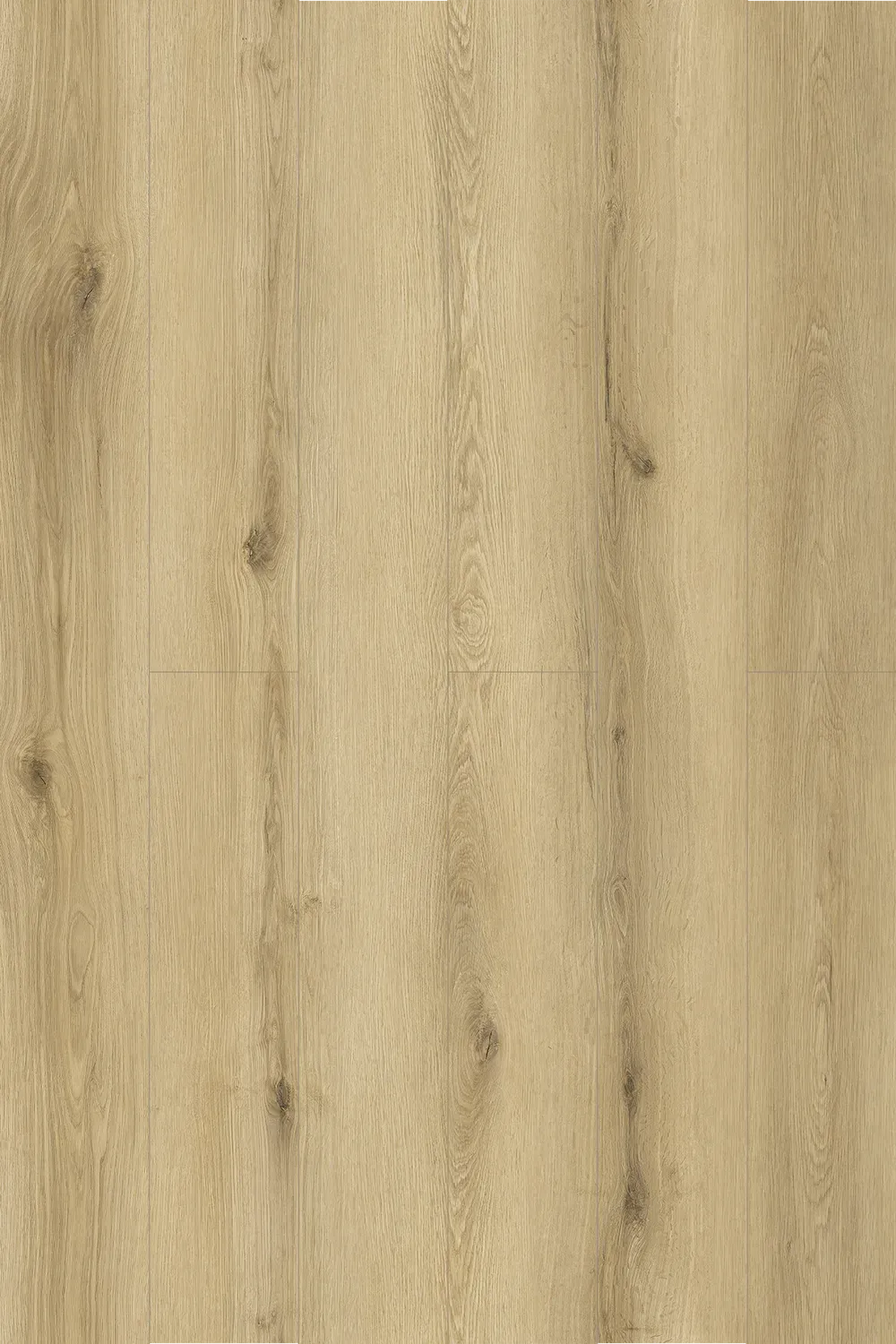Neutral Oak