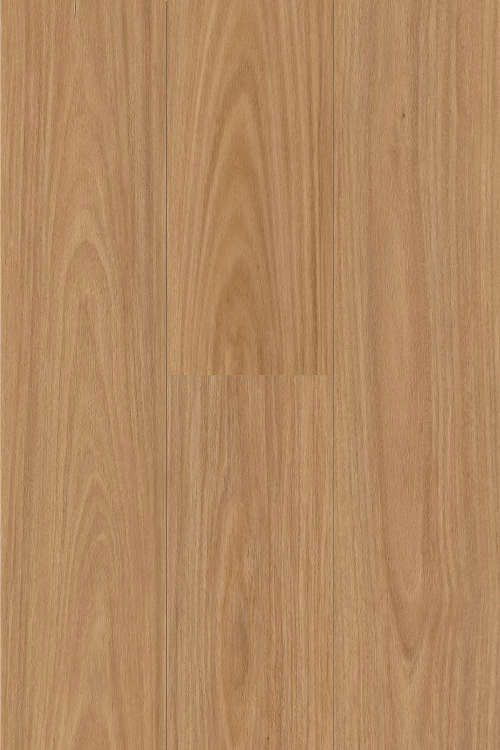 Raw Blackbutt