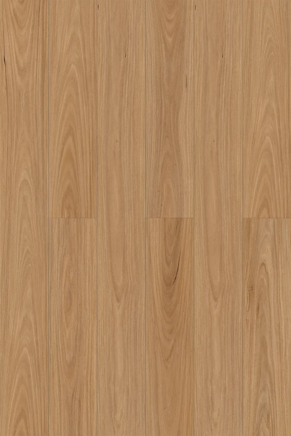 Raw Blackbutt