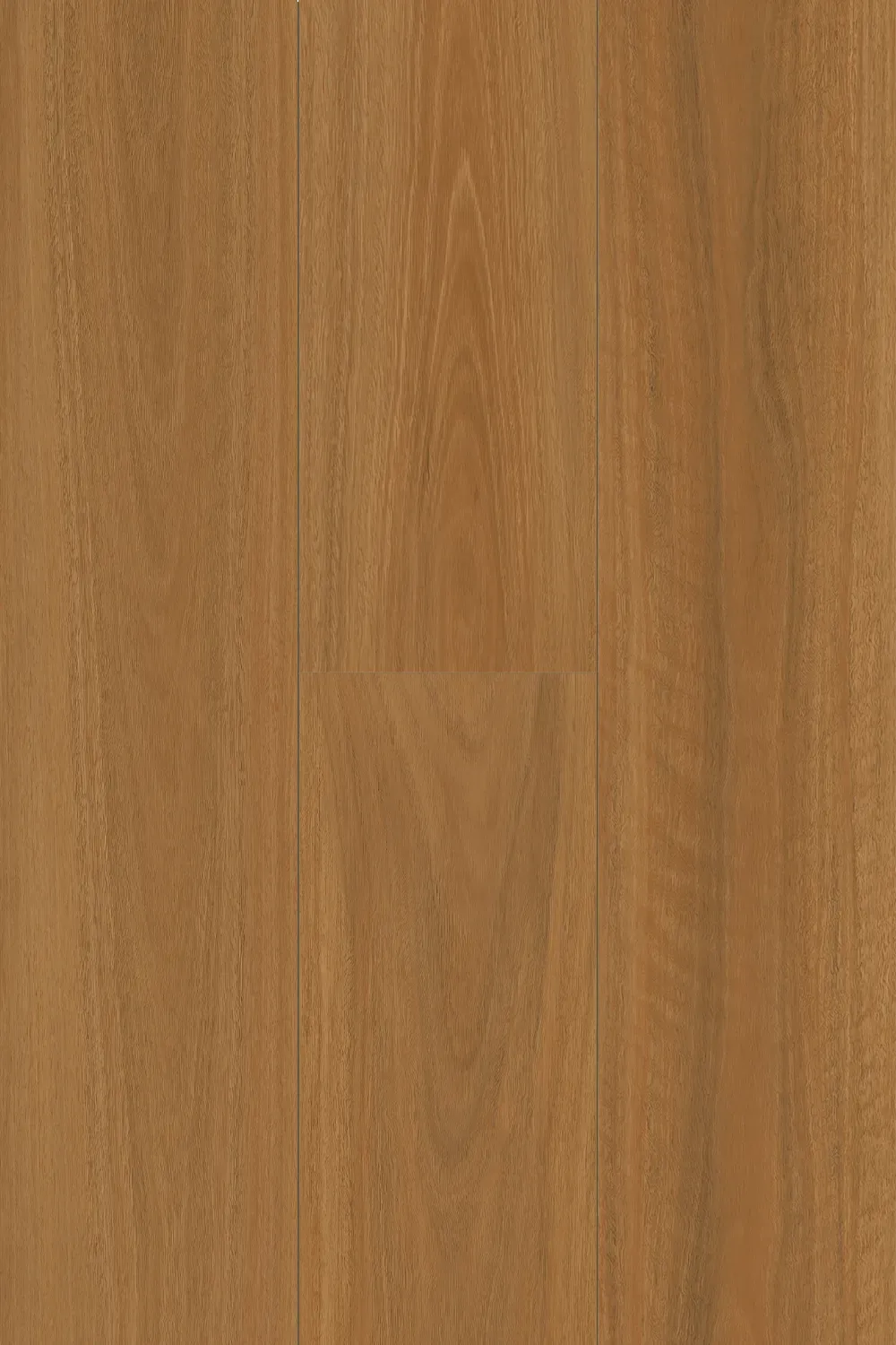 Spotted Gum