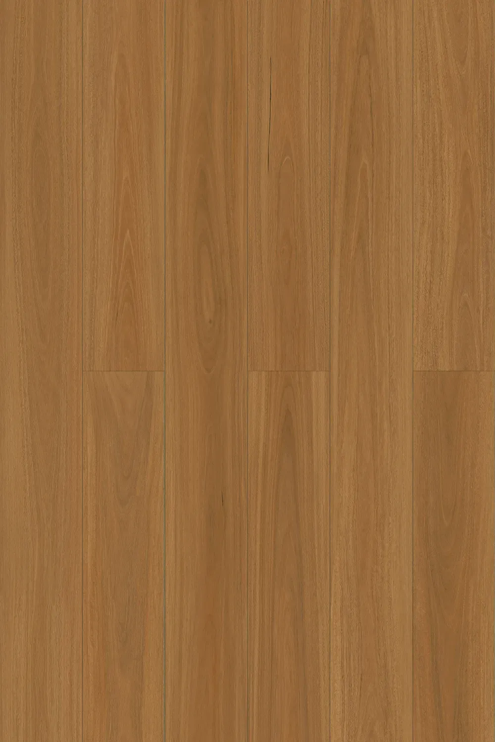 Spotted Gum