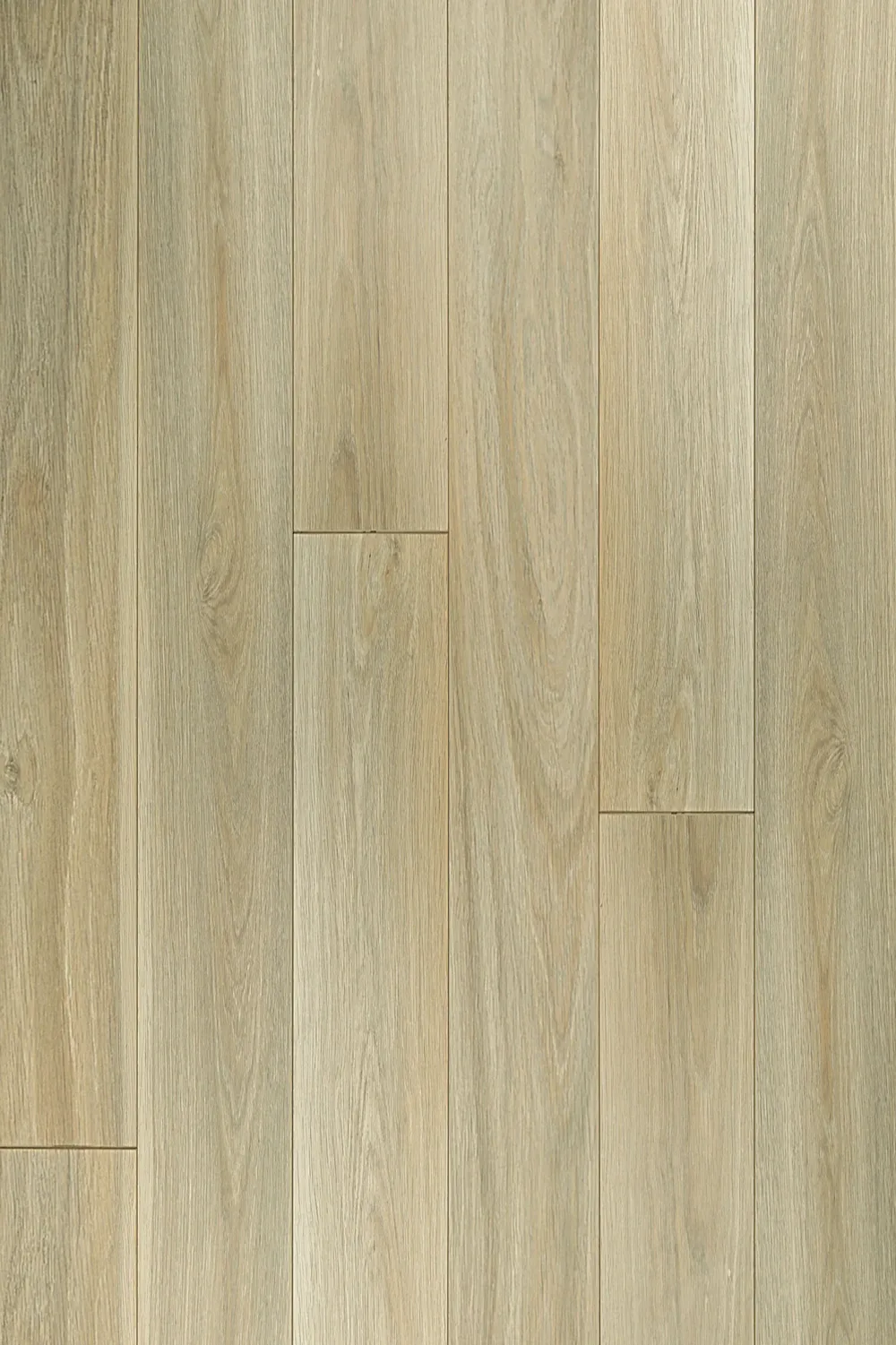 Aspen Oak Straight