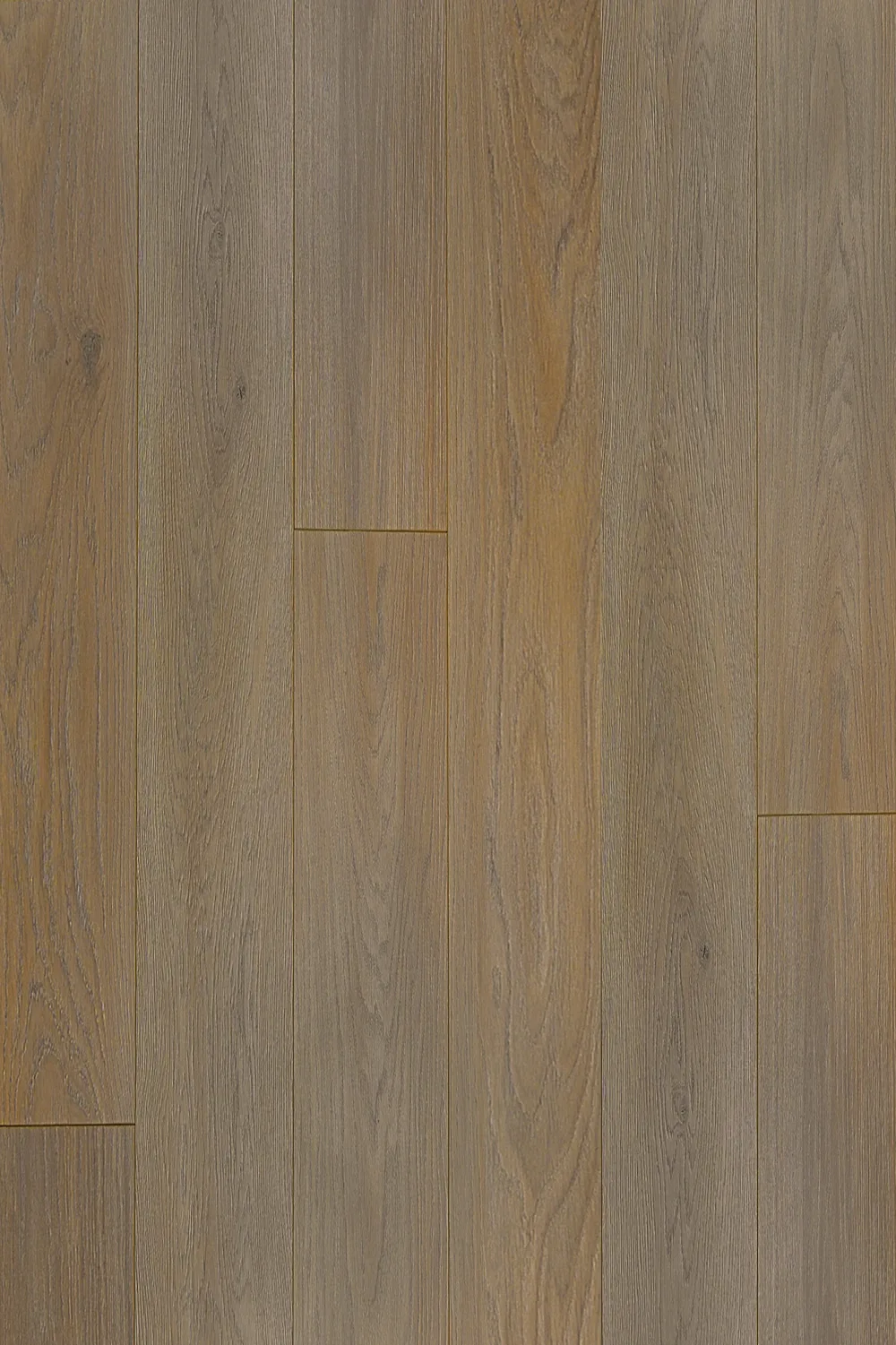 French Beige Oak Straight