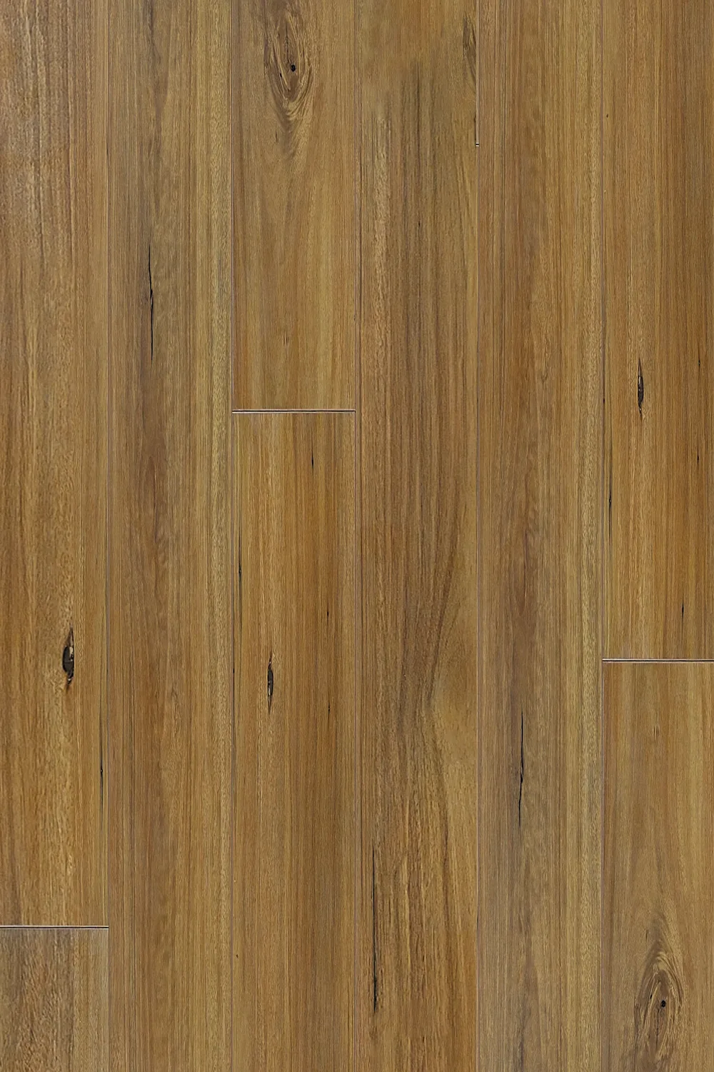 New England Blackbutt Straight