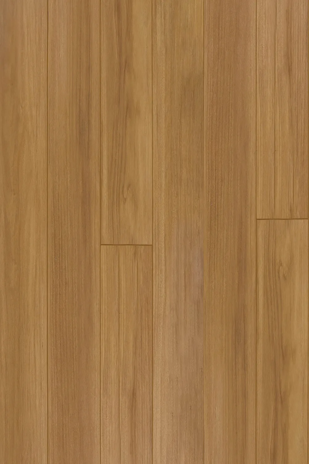 New England Blackbutt Straight