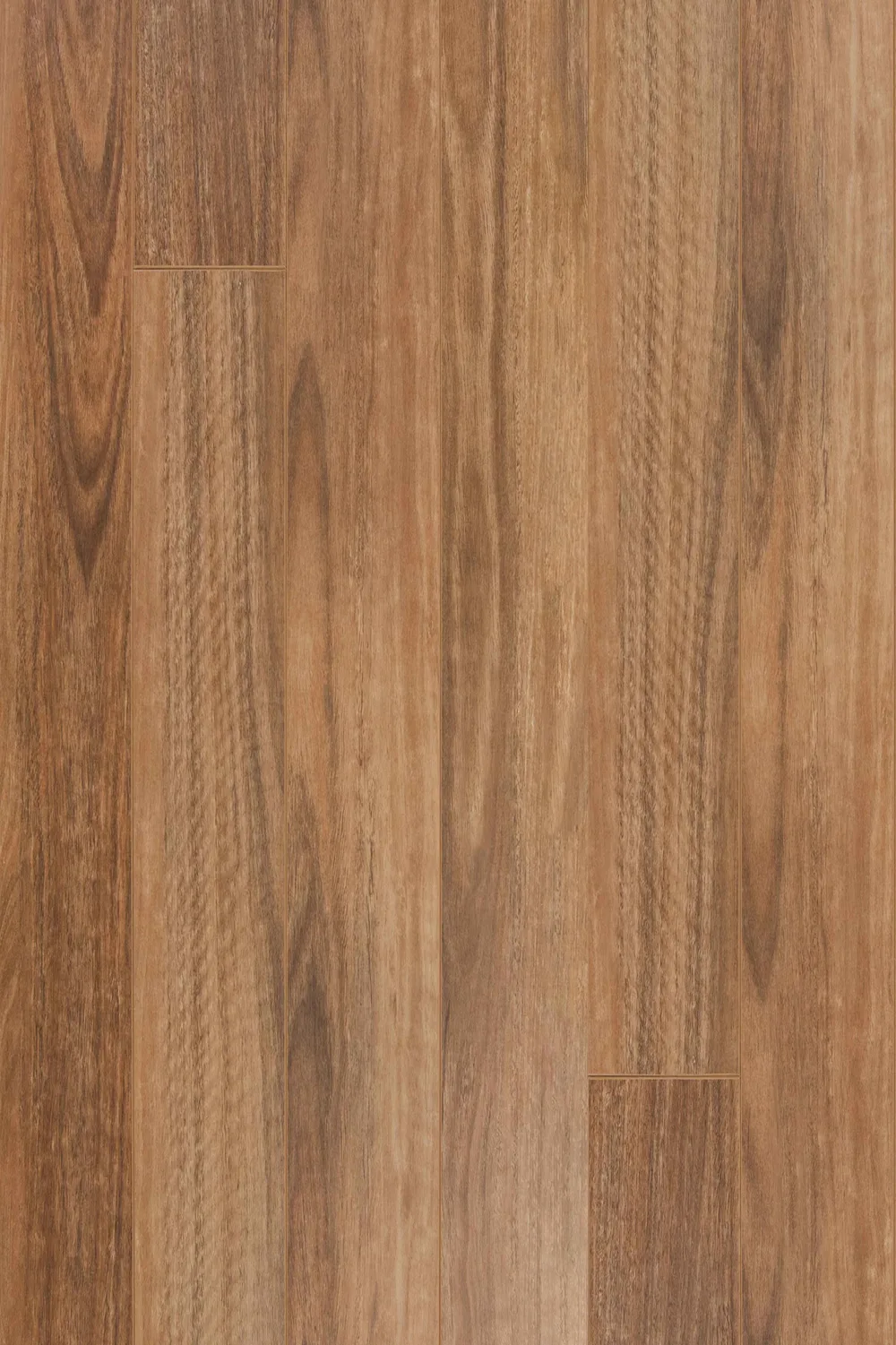 Queensland Spotted Gum Straight