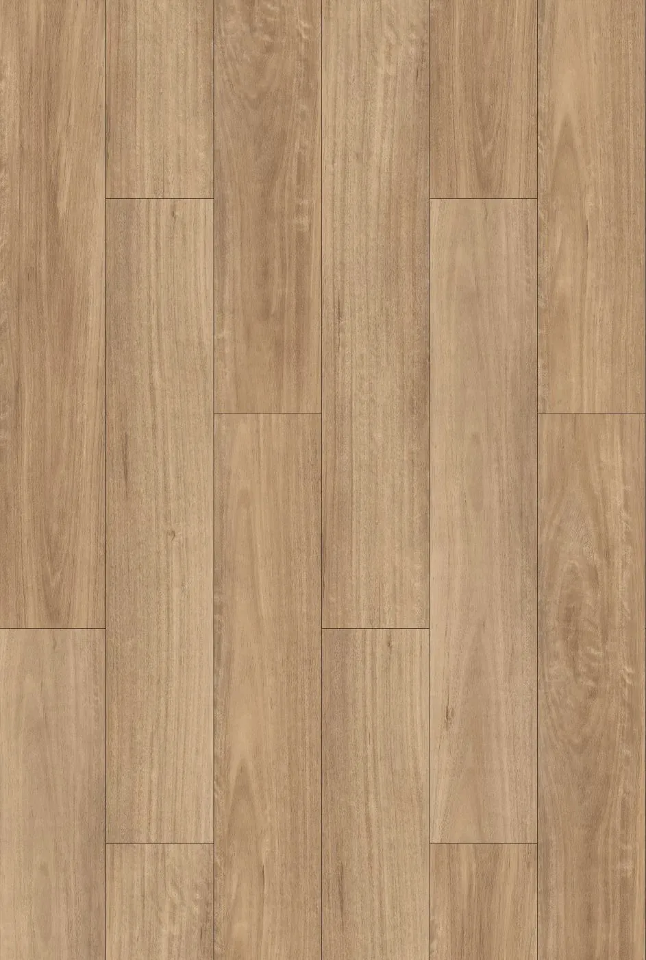Blackbutt Straight