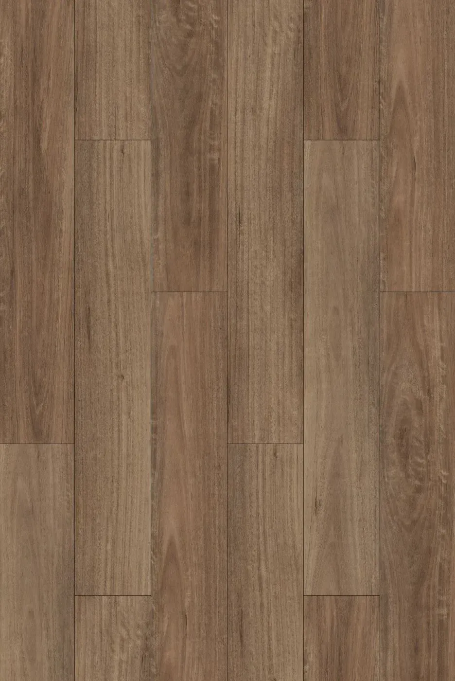 Spotted Gum Straight