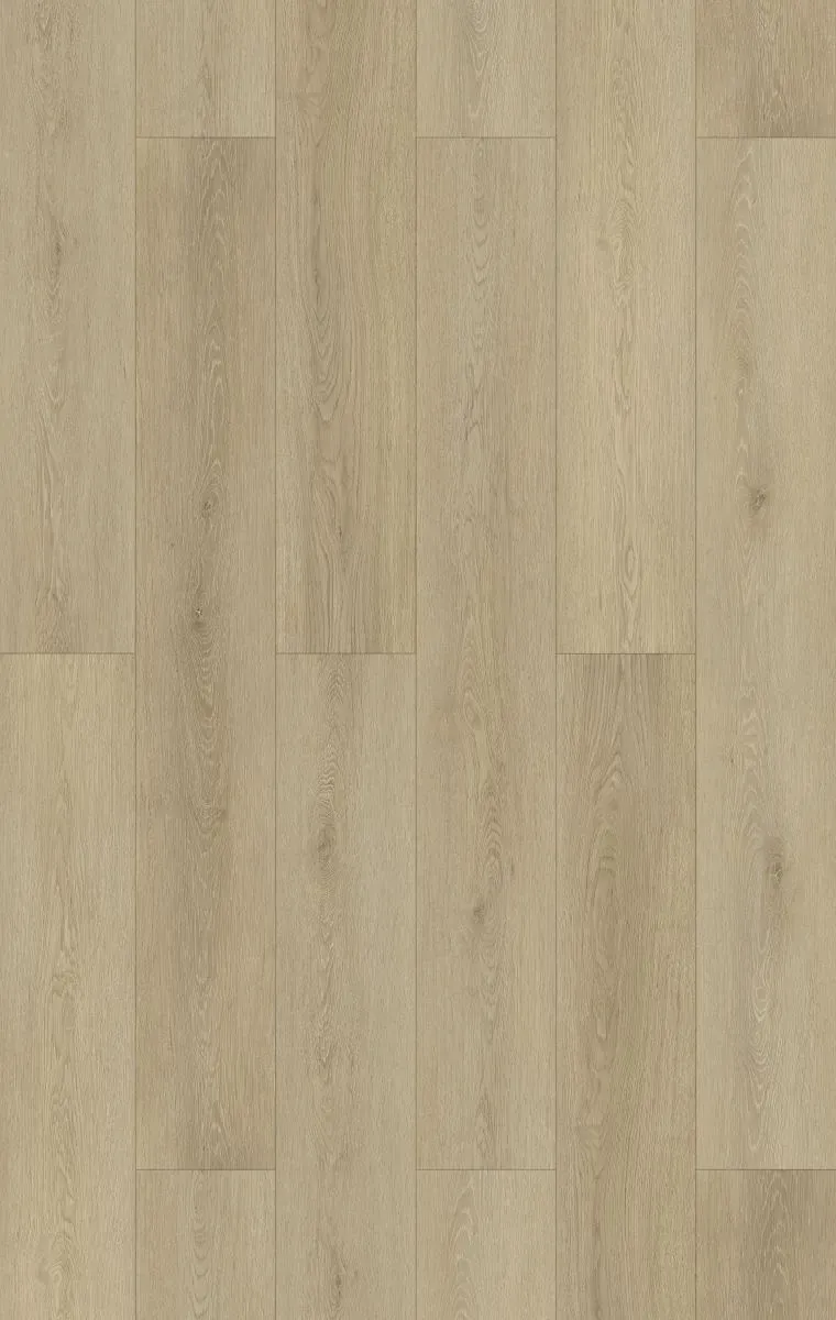 Coventry Sand Straight