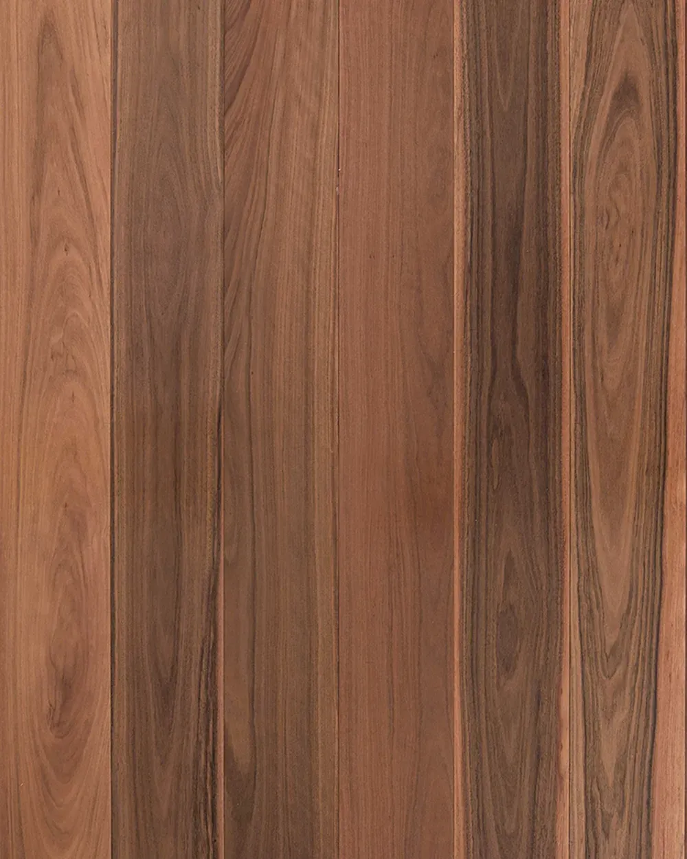 Grey Iron Bark