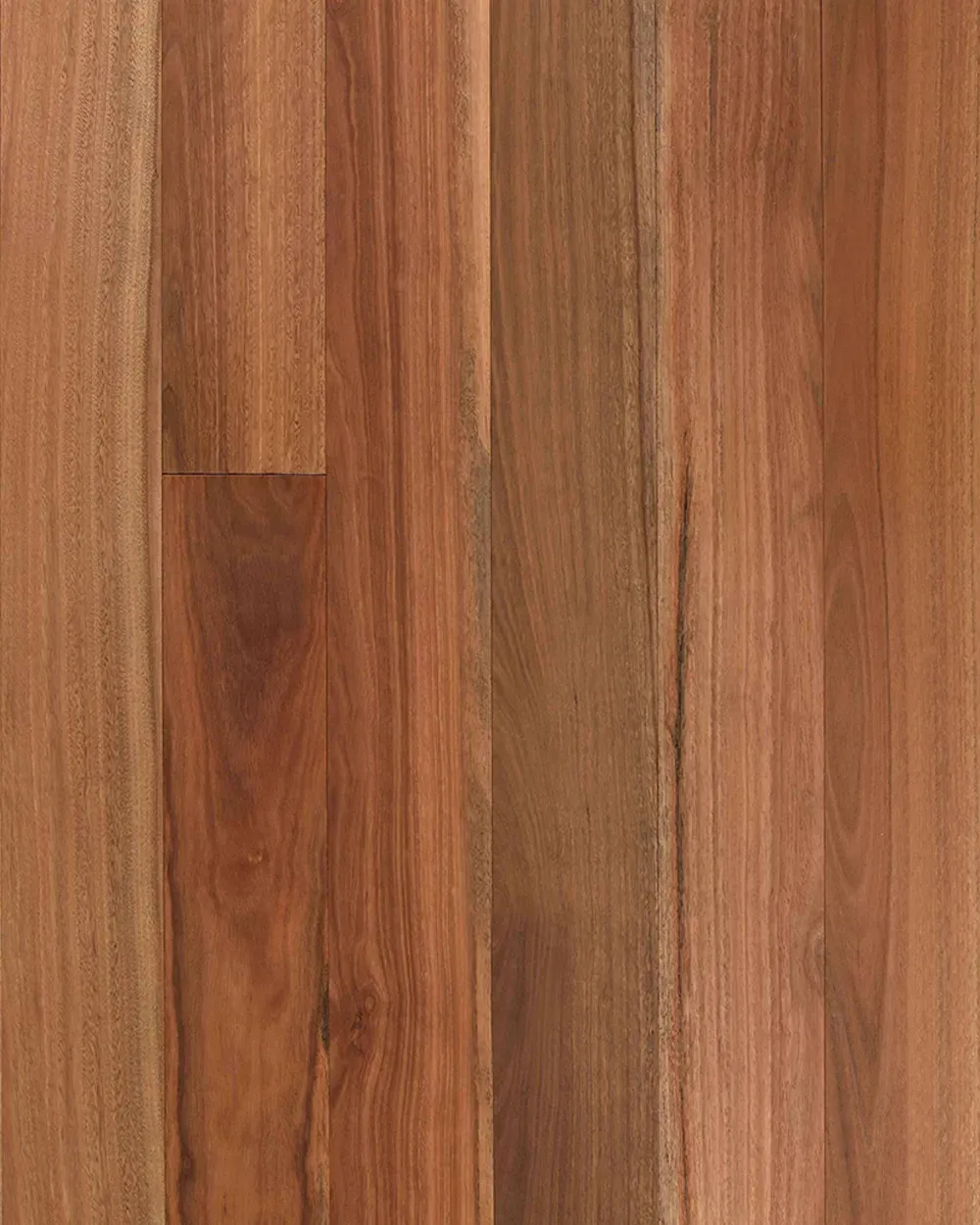 Spotted Gum