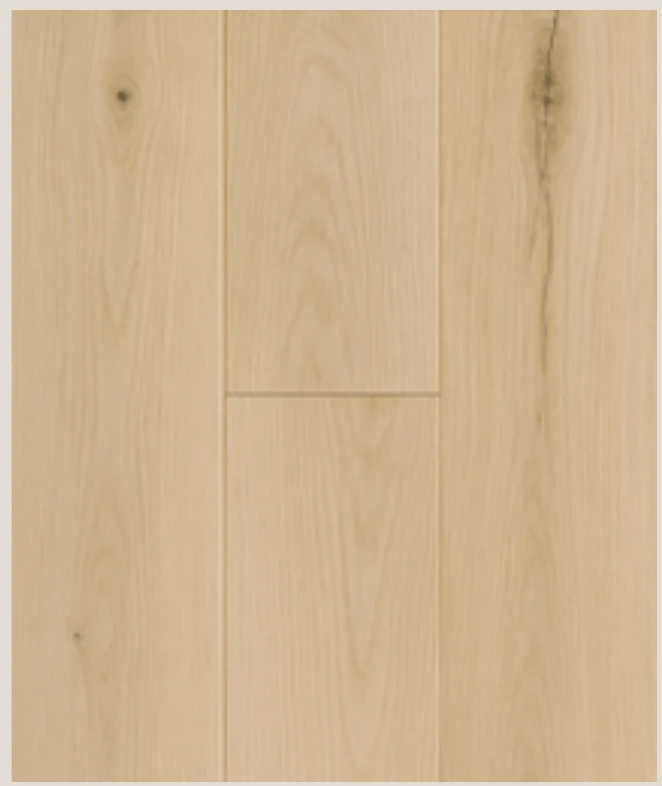 Blackbutt