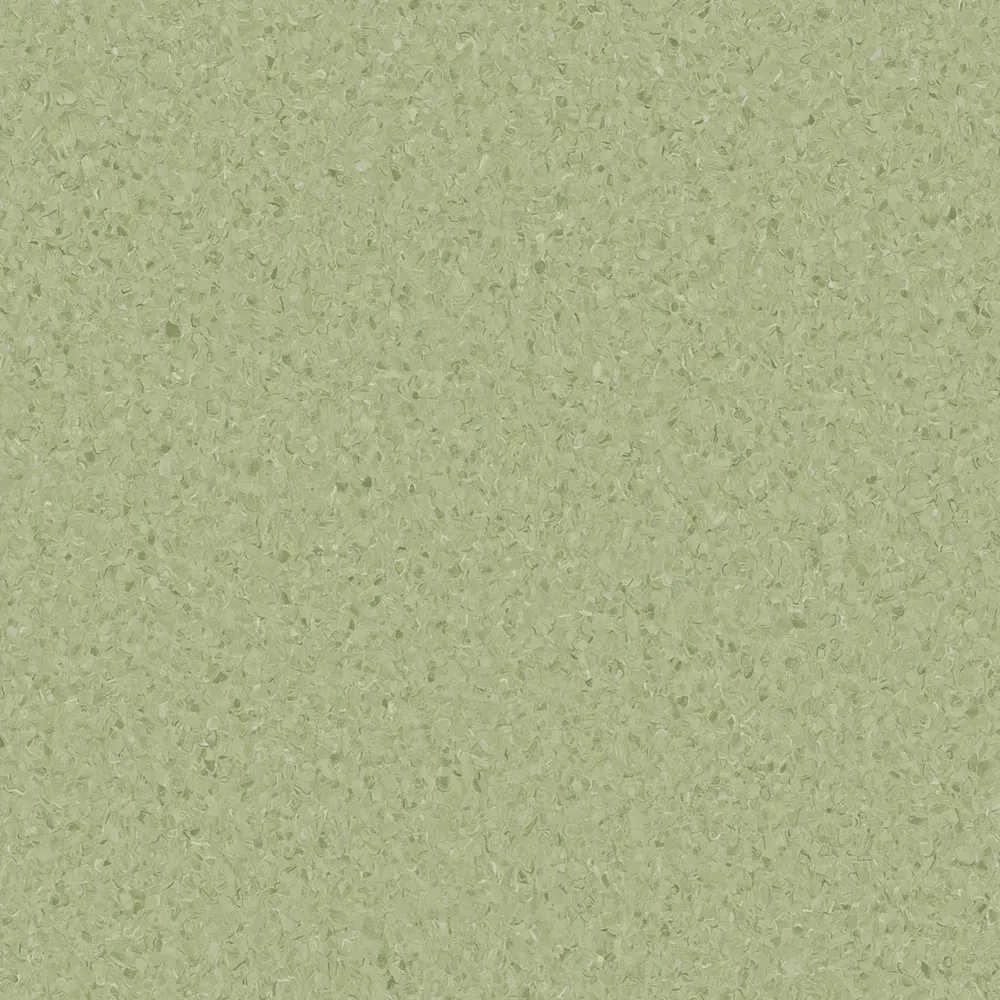 Casaurina Straight