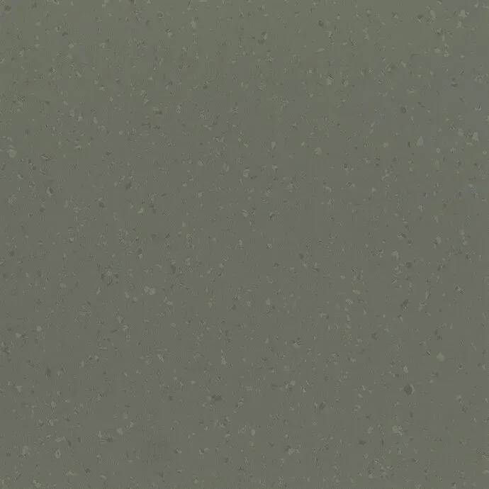 DriedTarragon Straight