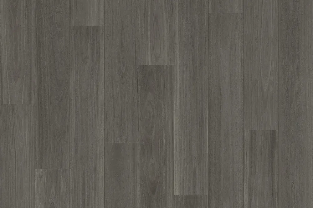 Blackbutt 999D