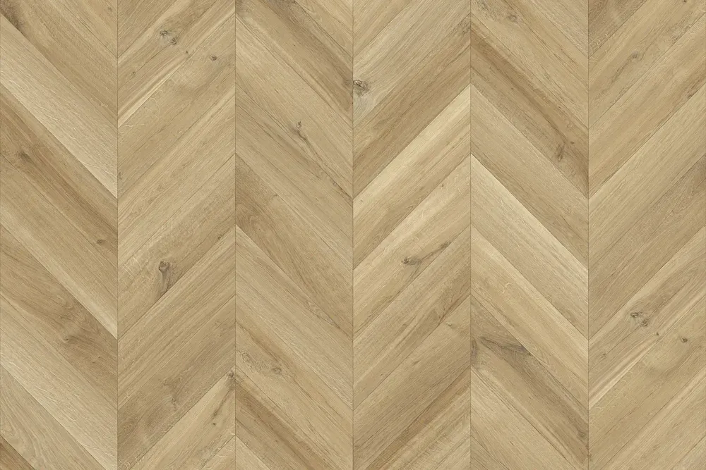 Braga Oak 623L