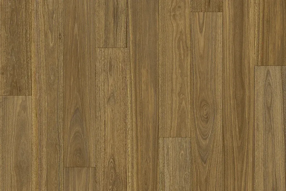 Spotted Gum 634M