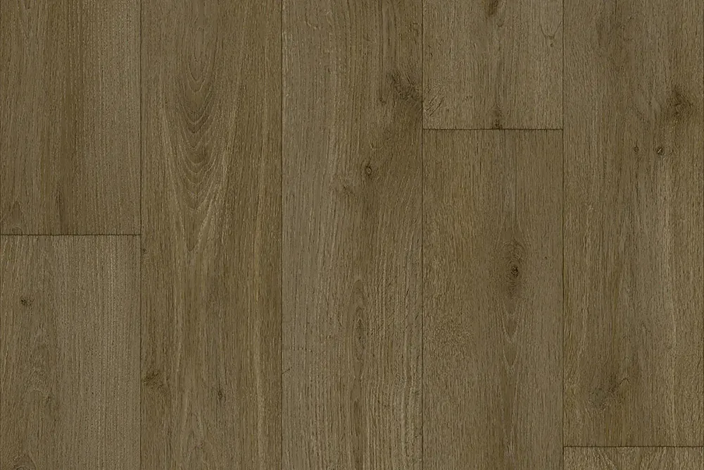 Forest Oak