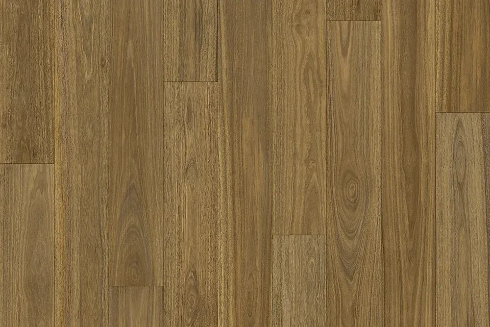 Spotted Gum