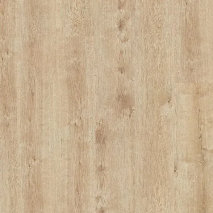 Champagne Oak Straight