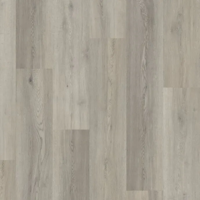 Oyster Birch Straight