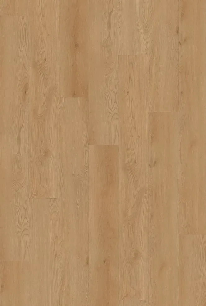Euro Oak Straight