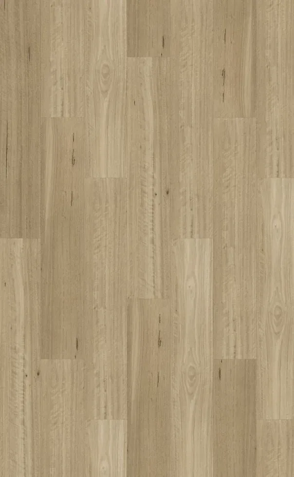 Somerset Blackbutt Straight