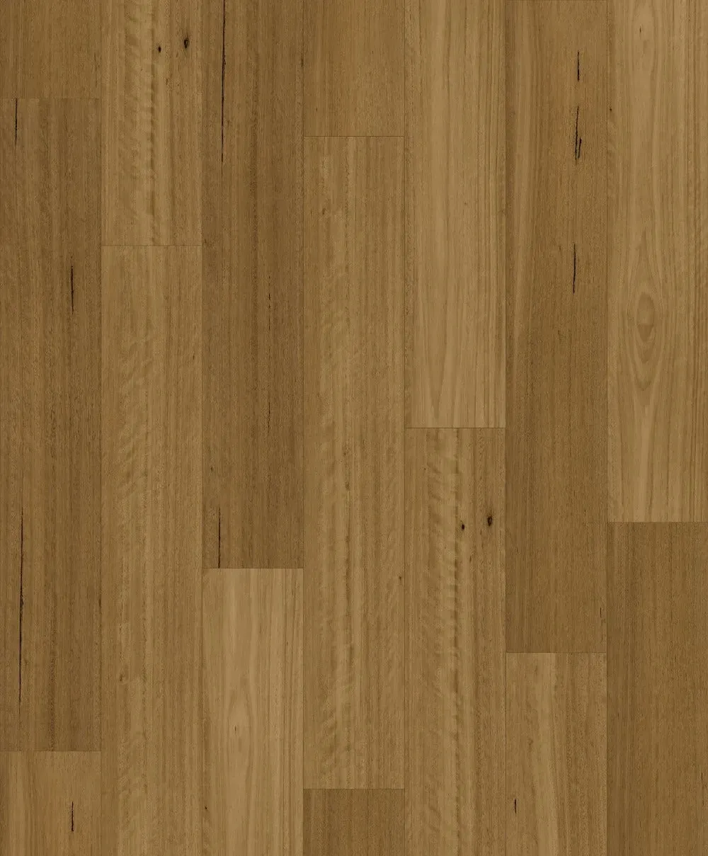 Grand Blackbutt Straight