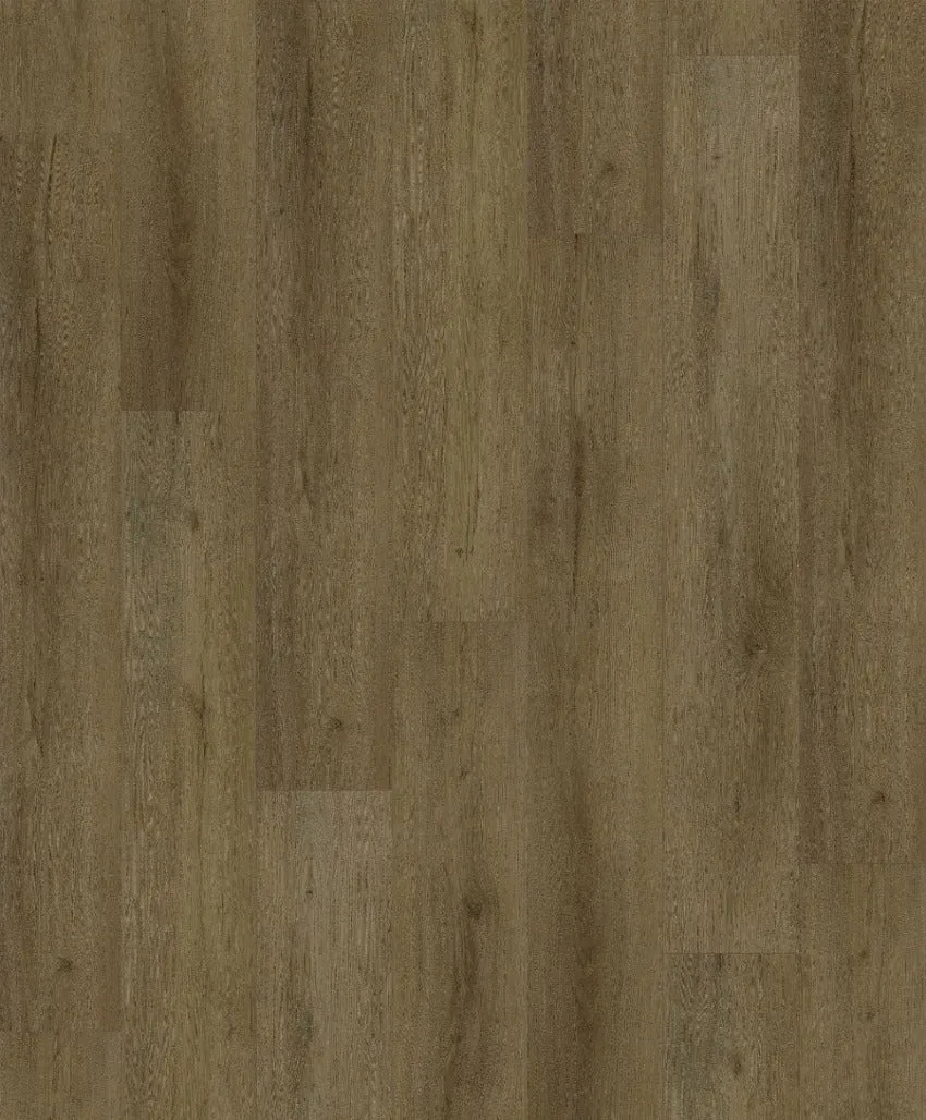 Havana Oak Straight