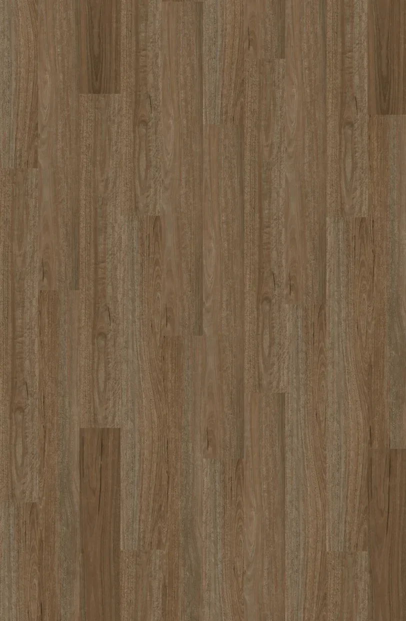 Morning Spotted Gum Straight