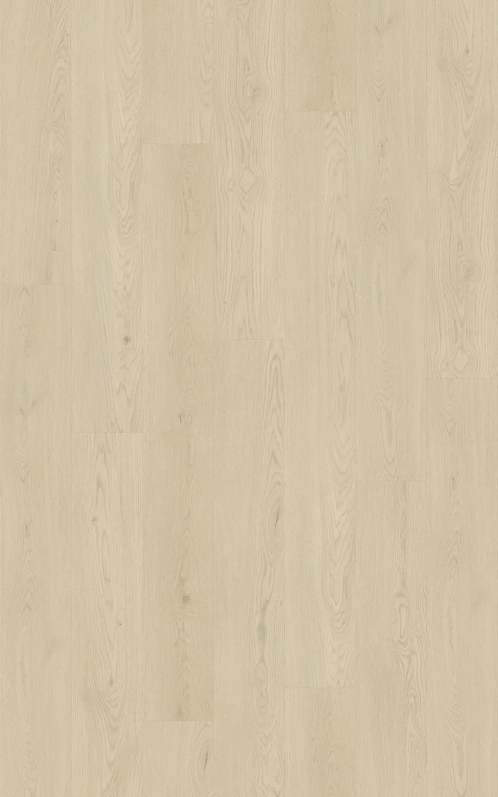 Blanc Oak Straight